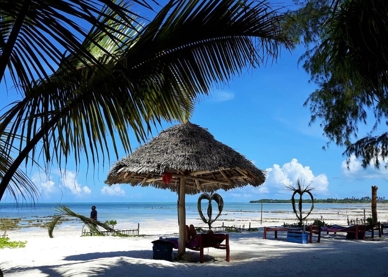 圣玛丽亚珊瑚公园酒店 蓬圭 外观 照片
